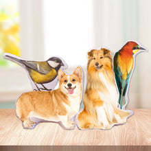 Load image into Gallery viewer, Miss Gurmble Shaped Pillow